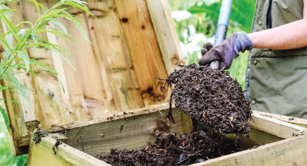 Збираю шкірки цих 3 плодів і пускаю на добриво: маю розкішні яблука, малину і баклажани 