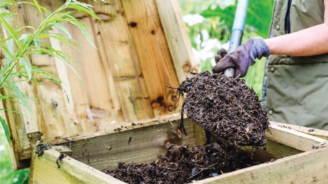 Експерти назвали добрива, які погано переносять зимові холоди