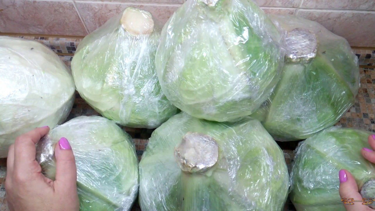 Секрет довготривалого зберігання капусти