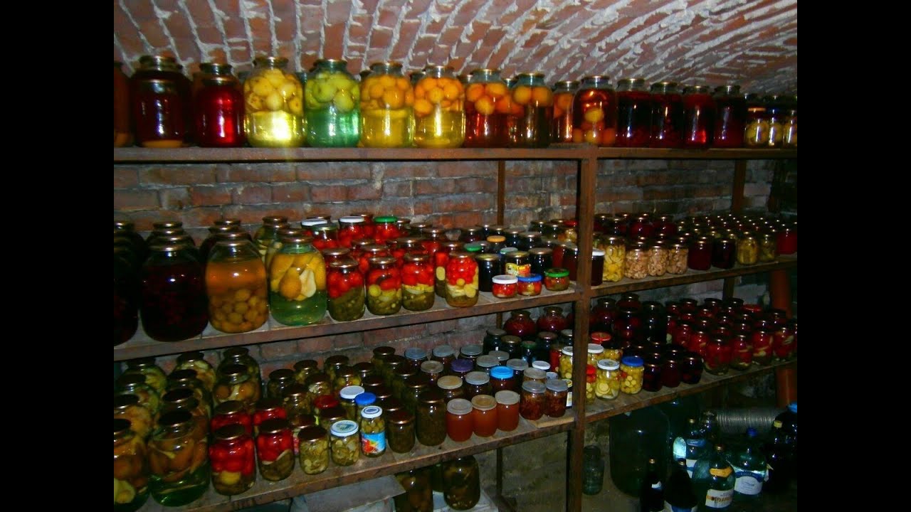 Як прибрати зайву вологість в погребі