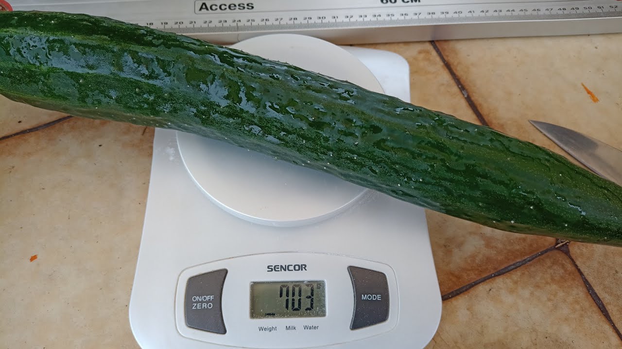 Агрономи назвали 4 сорти огірків, які дають несмачні плоди