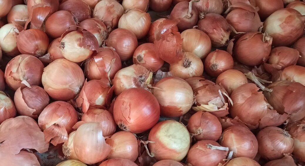 Пролежить свіжою до весни і не згниє: зберігаю цибулю вдома, використавши 1 лайфхак 