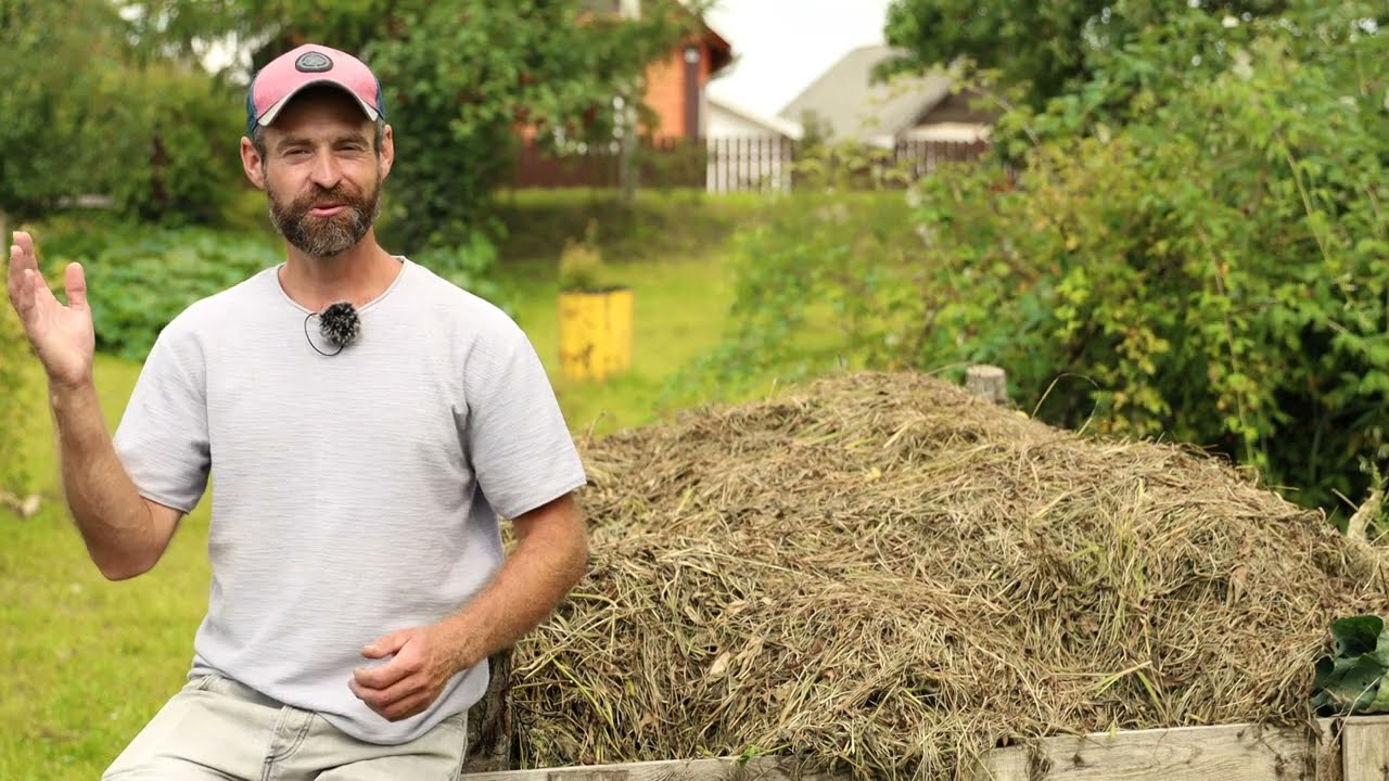 Експерти назвали добриво, яке краще за деревну золу