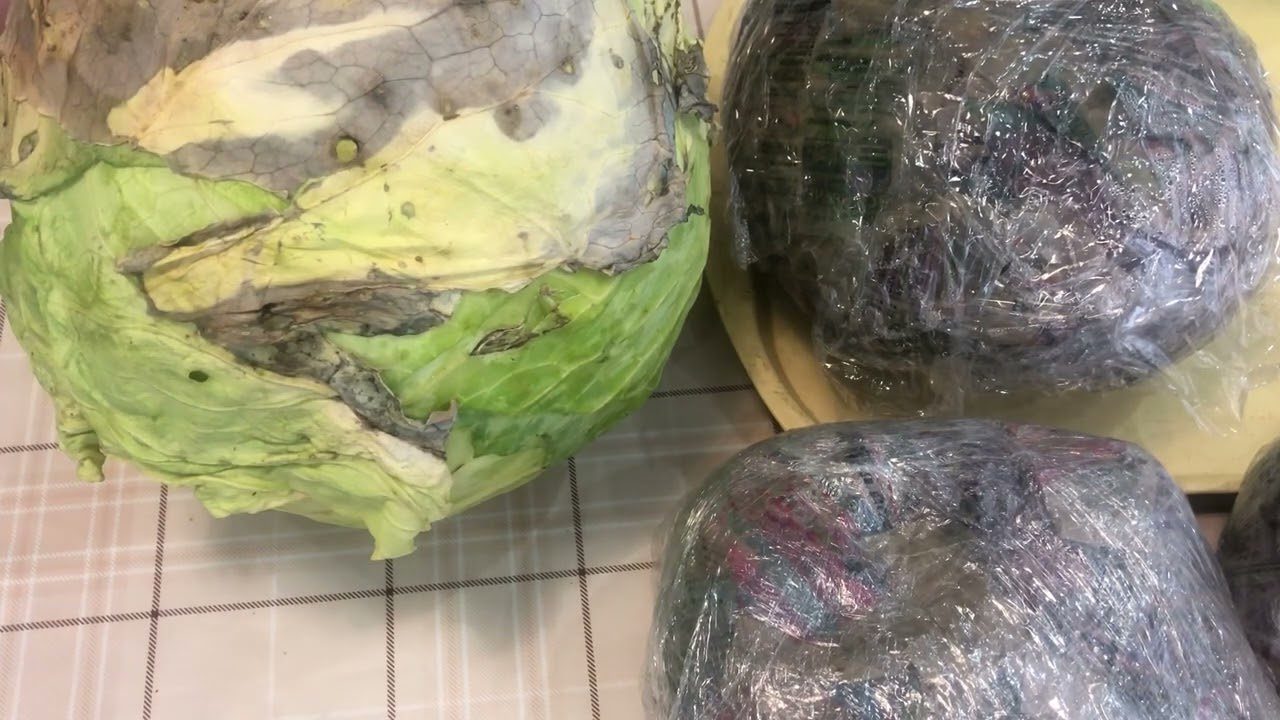 Секрет довготривалого зберігання капусти