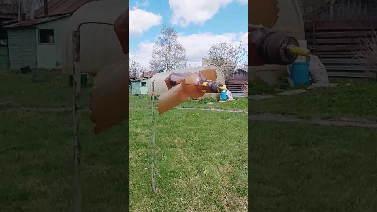 Як позбутись від кротів на ділянці за 60 хвилин 