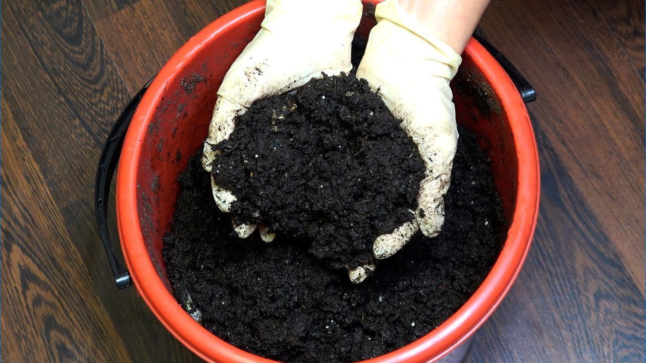 Експерти назвали добриво, яке краще за деревну золу