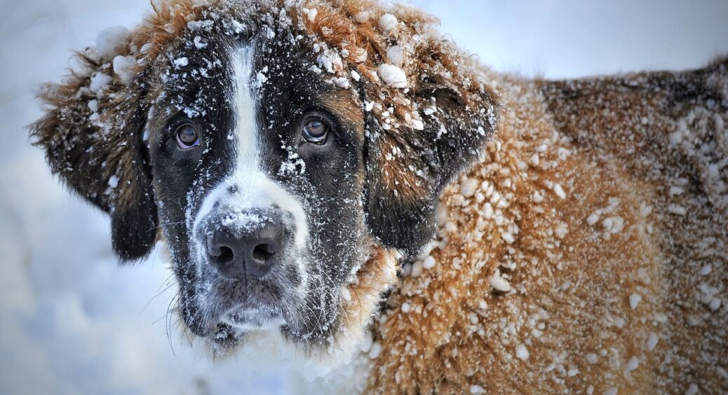 Буде набагато холодніша, але є хороша новина: до якої зими варто готуватися українцям у 2026 