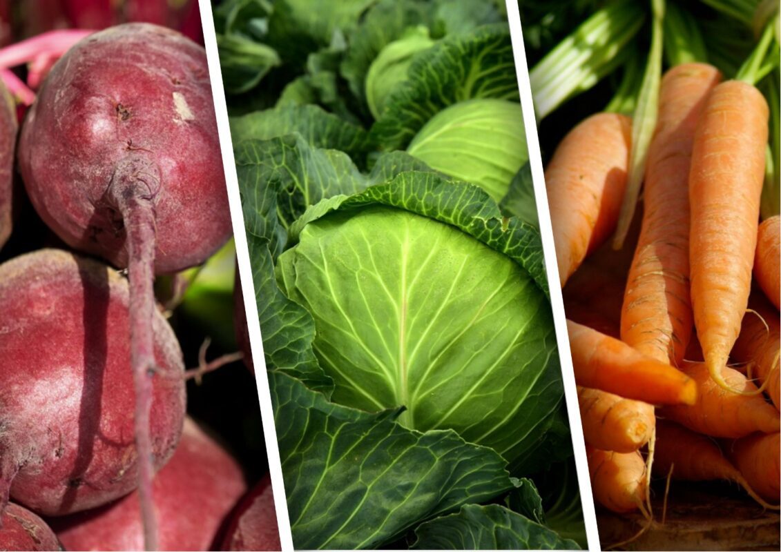 Які овочі можна посадити під зиму