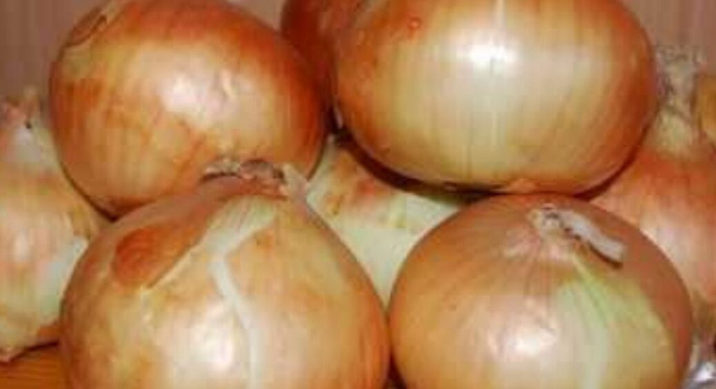 Щоб зимова цибуля не стрілкувалась: 1 дія у листопаді – запорука якісного врожаю у квітні 