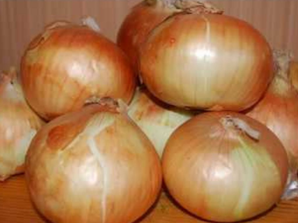 Городники назвали 1 дію для якісного врожаю цибулі без стрілкування