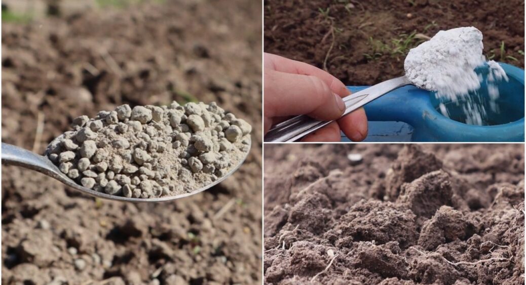 Втратите 99% врожаю! Які добрива НЕ можна вносити восени? Про це знають тільки професіонали 