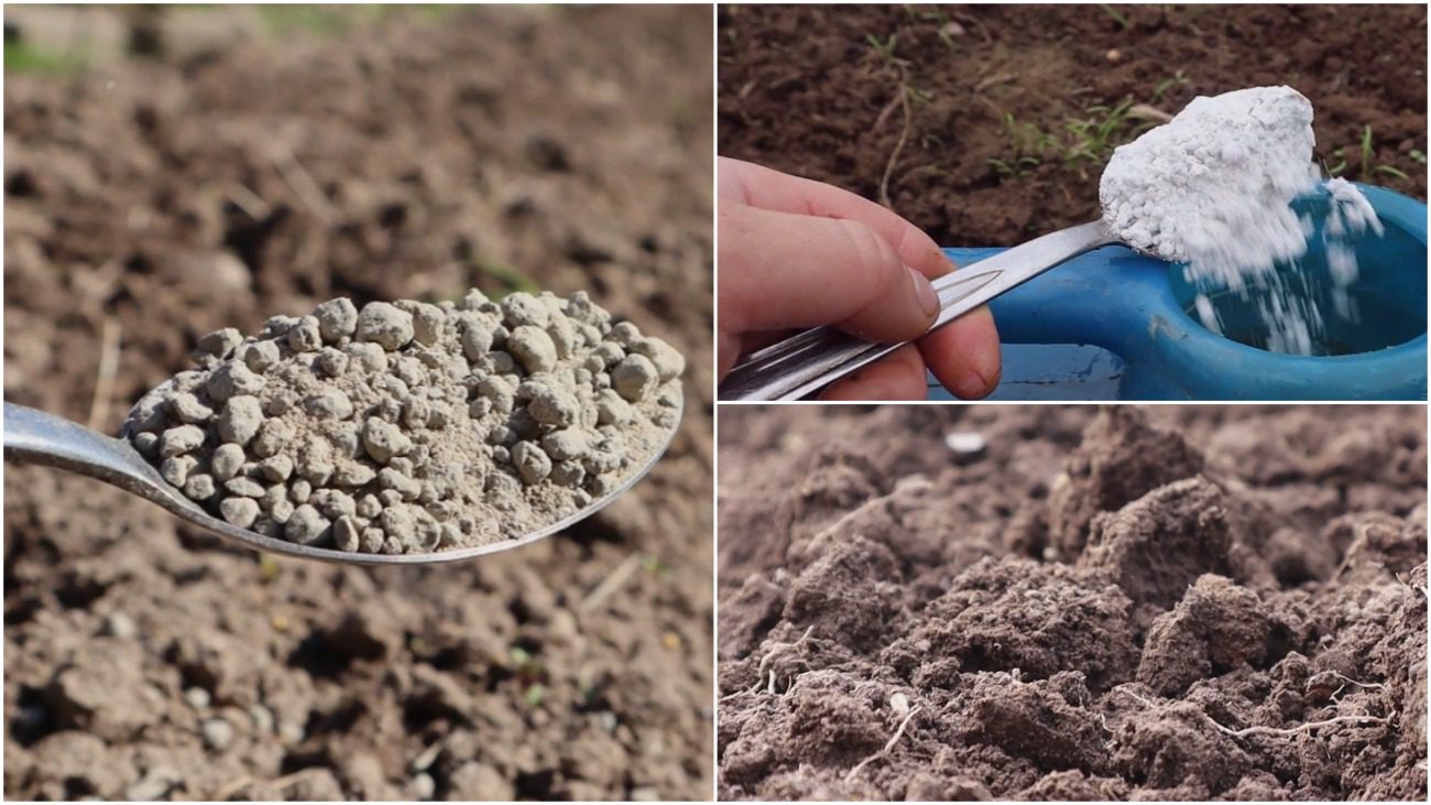 Городники розповіли, які добрива не можна вносити восени
