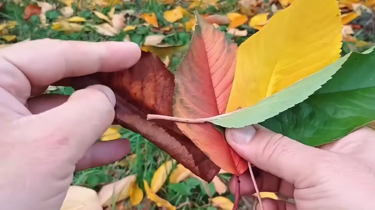 Як перетворити купи сухого листя на родючий ґрунт