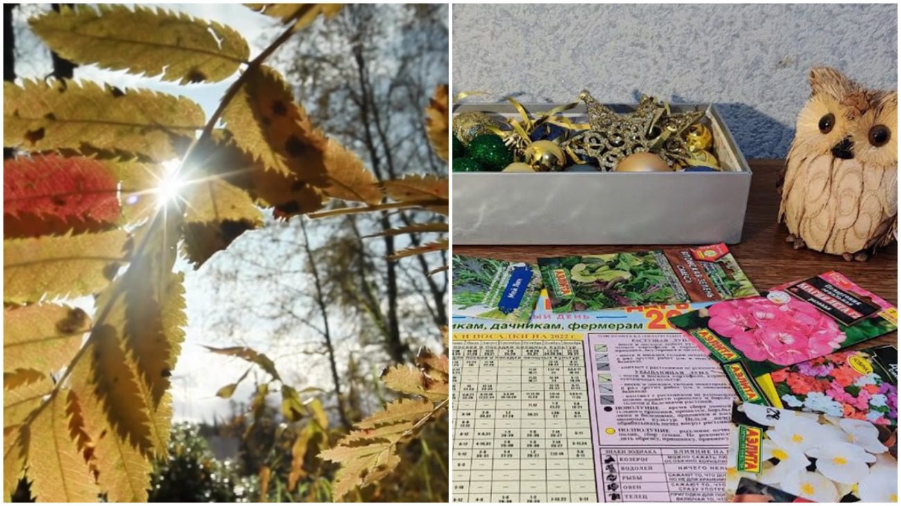 Сад і город, корисні поради, посівний календар, вирощування