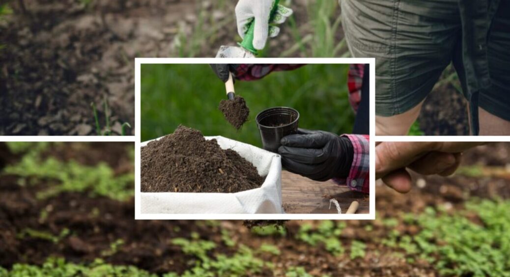 Бюджетно + ефективно – добриво 2в1: яку підживку варто підготувати взимку для рослин 