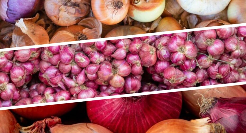 Ці 13 рослин не садіть після цибулі: що не можна висаджувати на її місці – врожаю не буде 