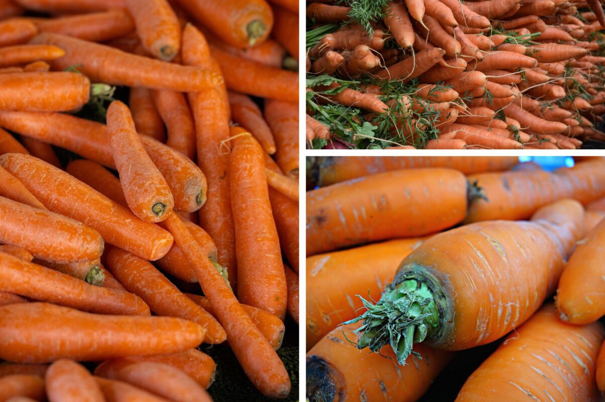 Агрономи назвали найсприятливіший час для посіву моркви в листопаді