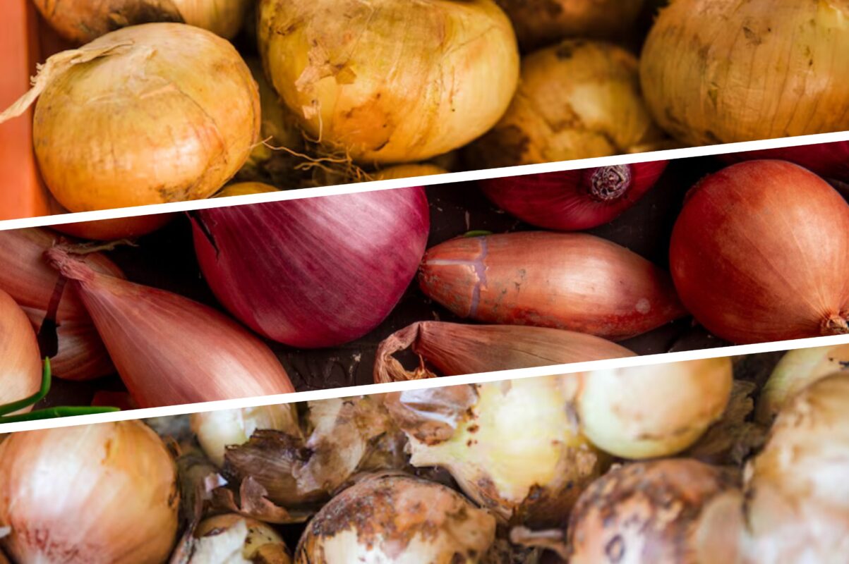 Експерт розповів, як надовго зберегти цибулю в домашніх умовах