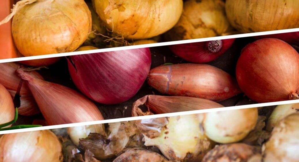 Пролежить свіжою до весни 2026: 1 лайфхак, як зберігати цибулю в домашніх умовах без гниття 
