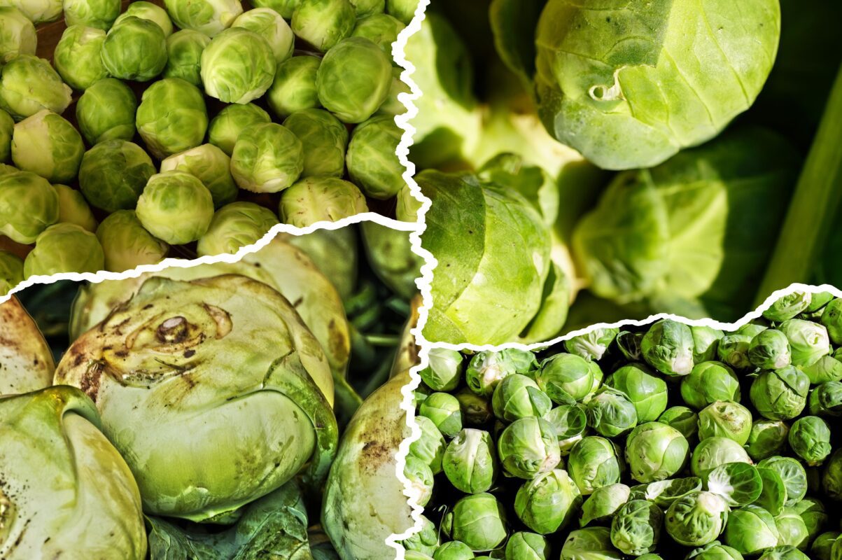 Городники розповіли, як зберегти капусту свіжою до весни наступного року