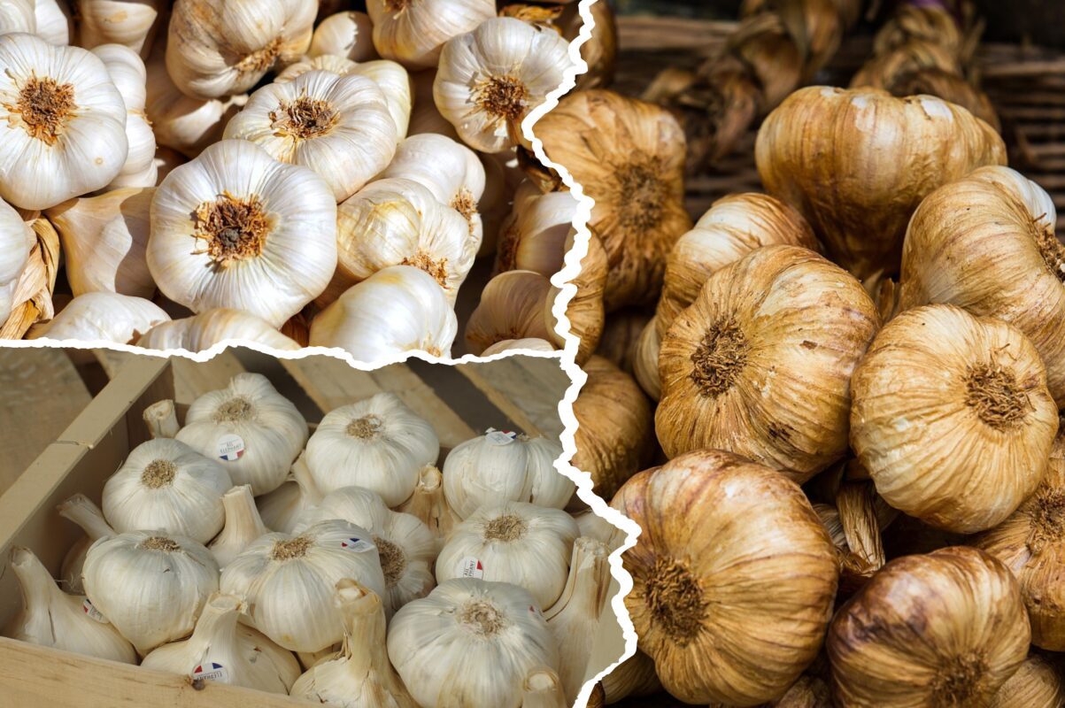 Експерт пояснив, скільки років можна не проводити сівозміну часнику 