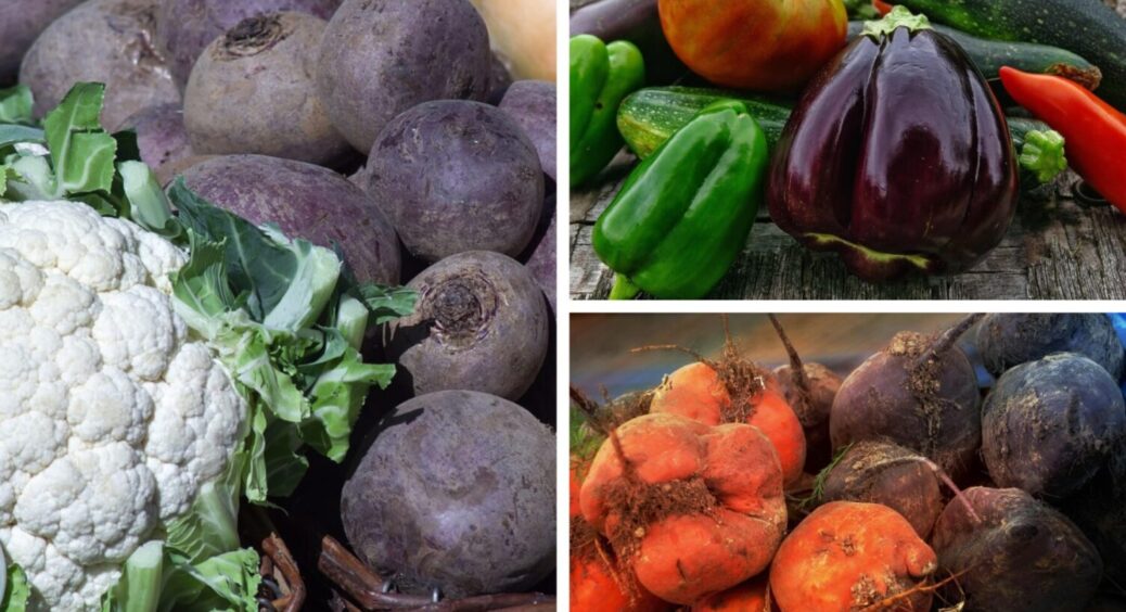 Ці 5 рослин сію під сніг щороку, і в 2025-му теж: які городні культури висадити під зиму 