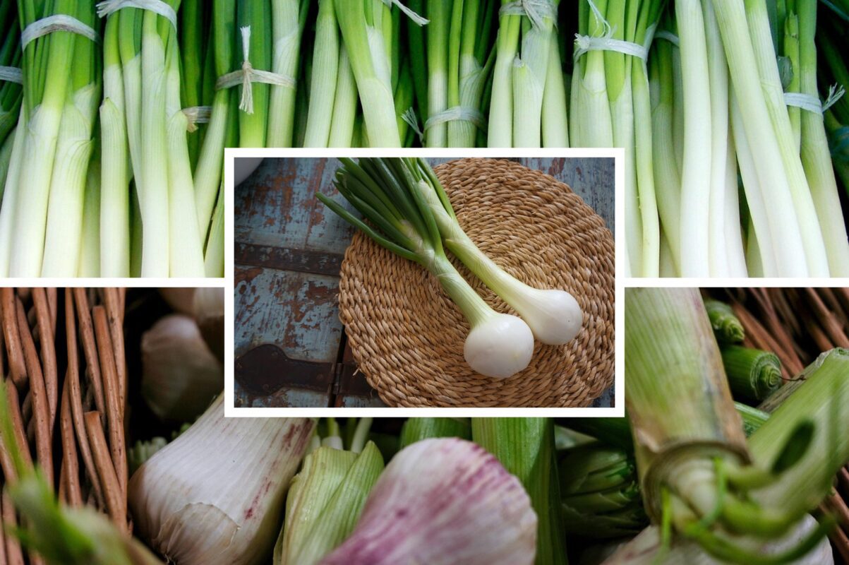 Дачники розповіли, як виростити смачну й соковиту цибулю в квартирних умовах