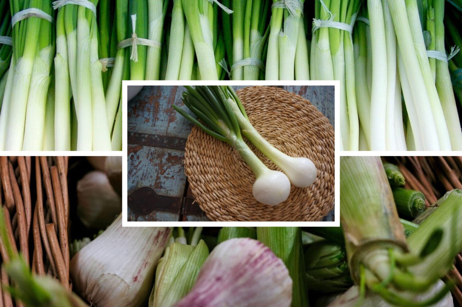 Дачники розповіли, як виростити смачну й соковиту цибулю в квартирних умовах