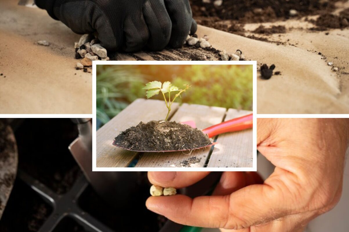 Дачники розповіли, як правильно зберігати насіння під час зимового періоду