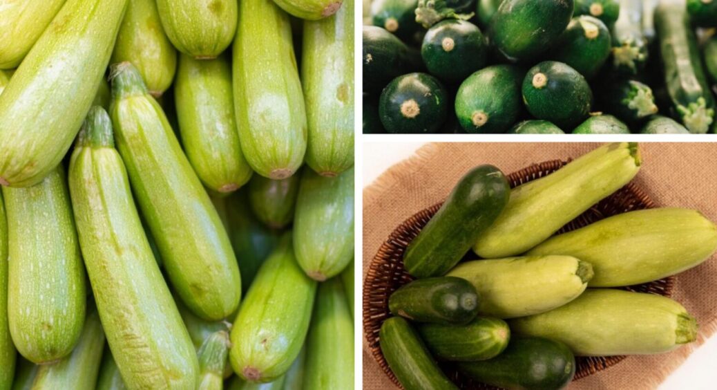 Ці кабачки отримали статус “чемпіони 2025”: посадіть їх і зберіть рекордний врожай 