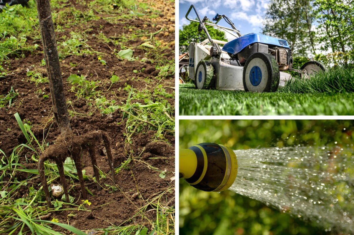 Дачники розповіли, як підготувати сад і город до Нового року 2026