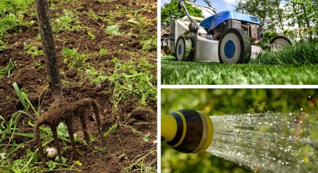 Зробіть ці 5 процедур до Нового року 2026: як підготувати город до наступного дачного сезону 