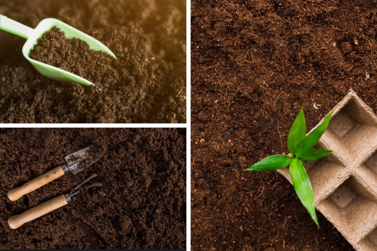 Городники розповіли, як приготувати поживний субстрат на розсаду