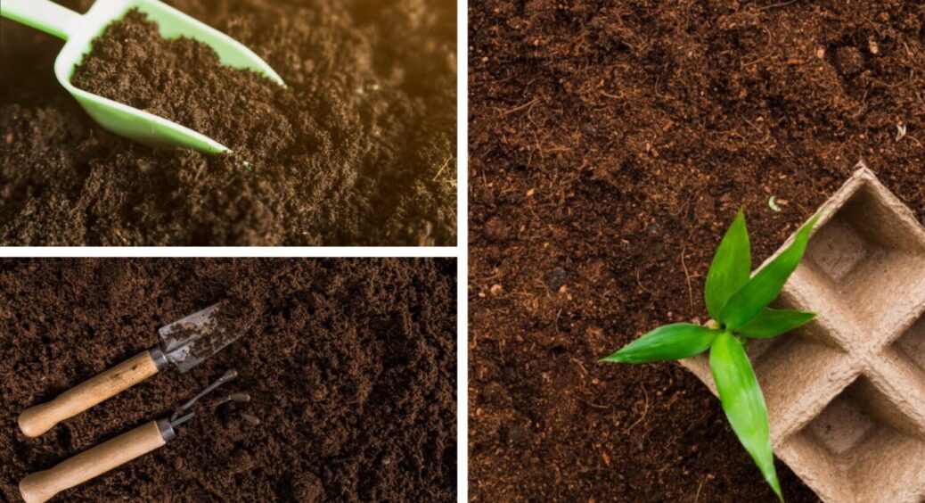 Субстрат не купую – готую сама: 3 прості компоненти і ґрунт на розсаду готовий. Рецепт 