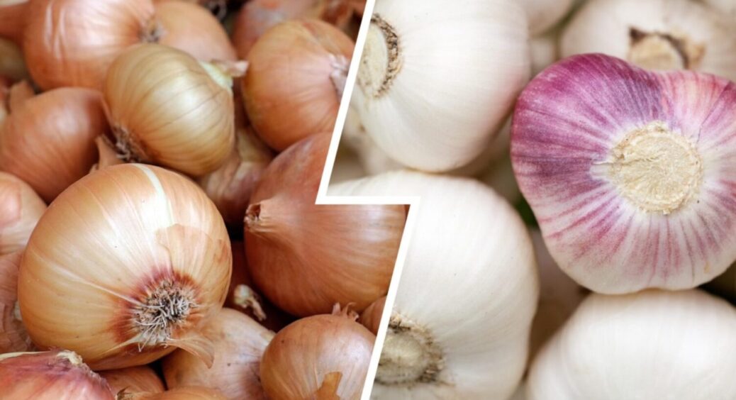 7 днів позаду, але ви ще встигаєте: найкращий час для посадки озимого часнику й цибулі в 2025 