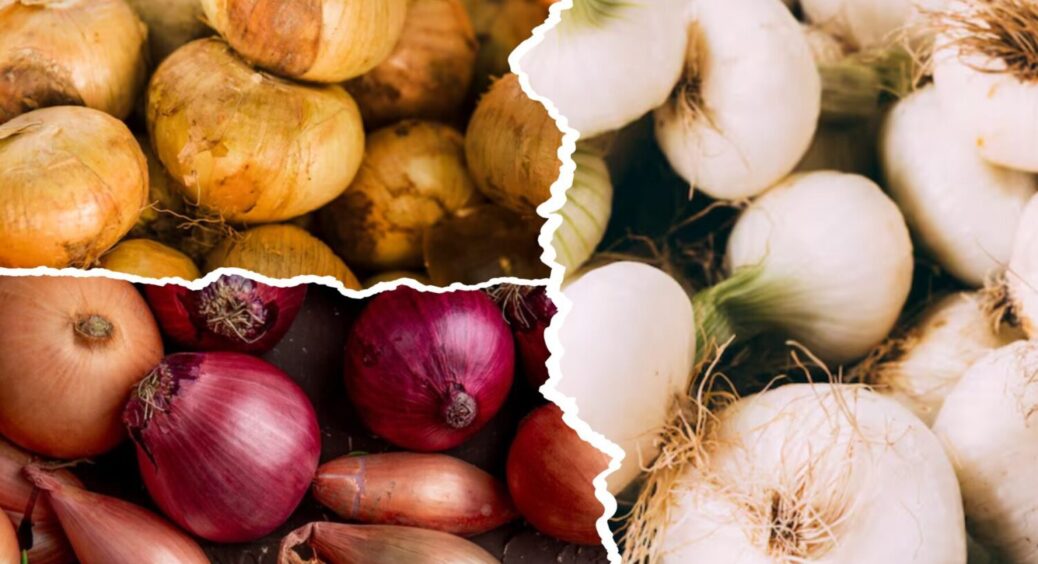 Ці 3 сорти озимої цибулі дають величезний урожай: плоди солодкі, соковиті і супер ароматні 