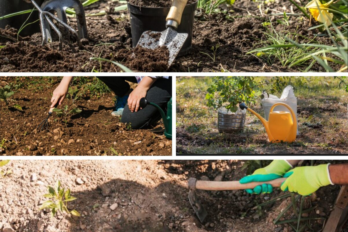 Городники розповіли, як відновити родючість ґрунту восени 2025