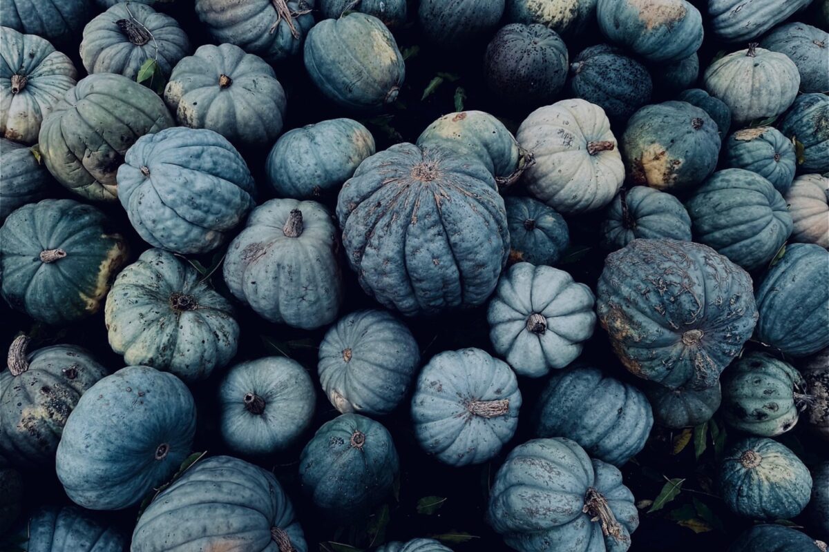 Агрономи розсекретили екзотичний сорт гарбуза, який має сині плоди