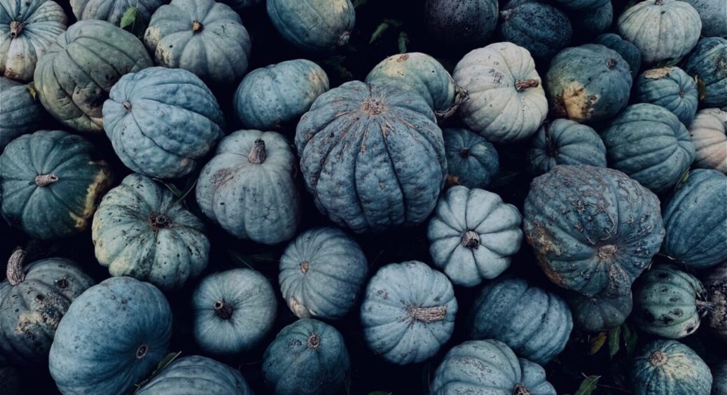 1 сорт гарбуза з синіми й солодкими плодами – обовʼязково посадіть його на ділянці 