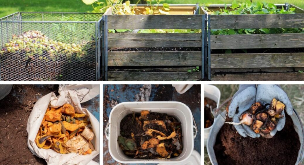 Компост власними руками – уникайте цих 3 помилок: як створити поживне цінне добриво 