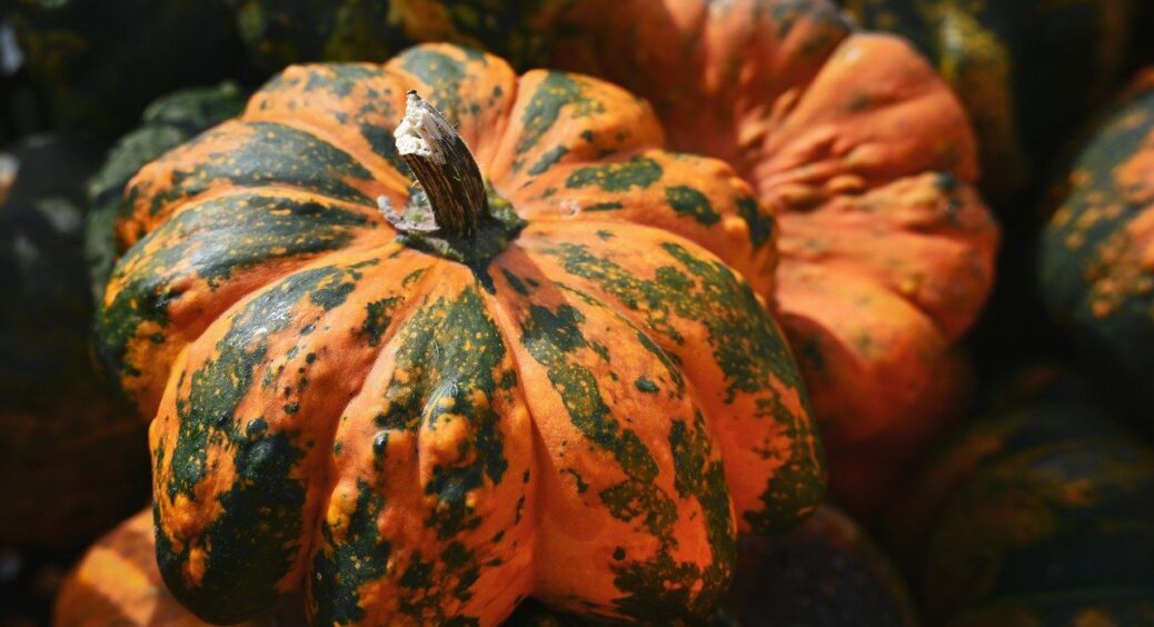 Як легко почистити гарбуз, щоб шкірка відходила сама: 1 секрет без бою “на ножах” 