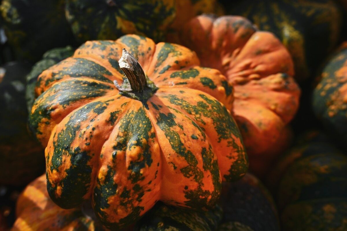 Як швидко почистити гарбуз від жорсткої шкірки