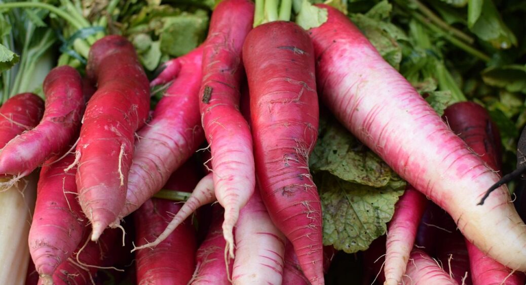 Редиску висаджую не на городі, а прямо вдома: 25 днів, і на столі розкішний свіжий салат 