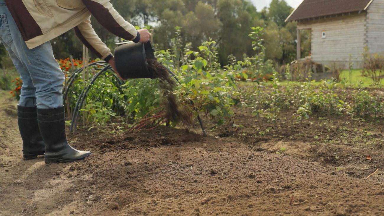 Фермери пояснили, що зробити взимку, аби навесні менше працювати на городі