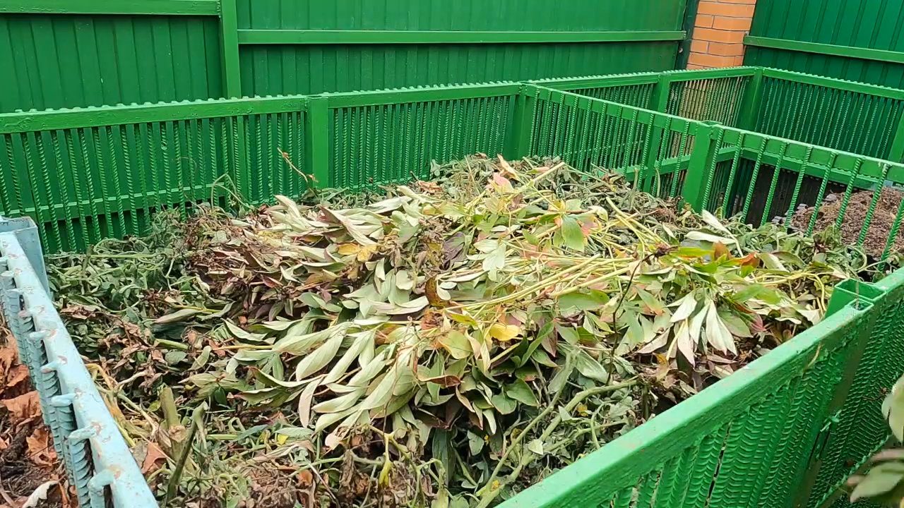 Фермери пояснили, що зробити взимку, аби навесні менше працювати на городі