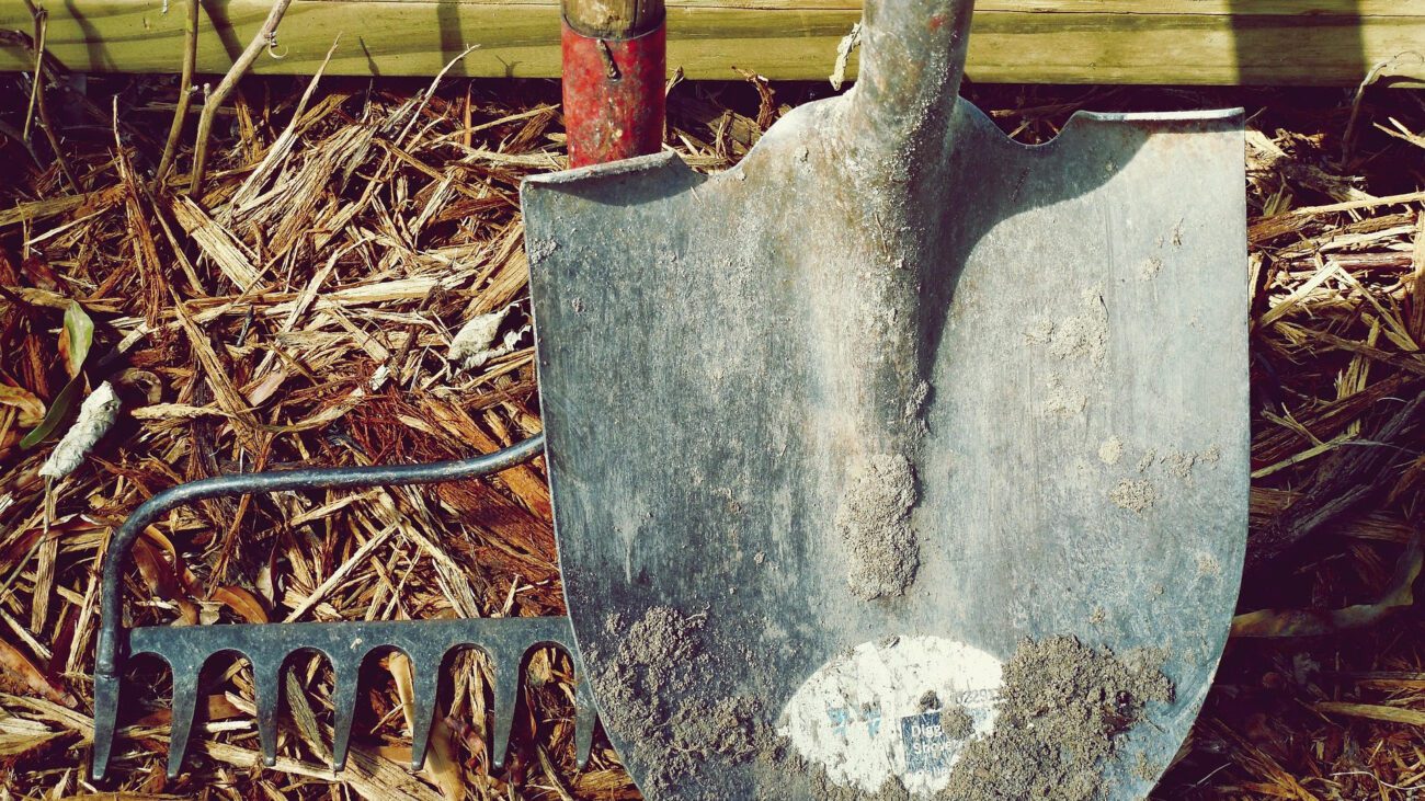 Фермери пояснили, що зробити взимку, аби навесні менше працювати на городі