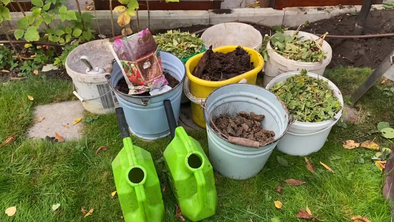 Городники розповіли, що варто зробити в листопаді, щоб город став родючішим