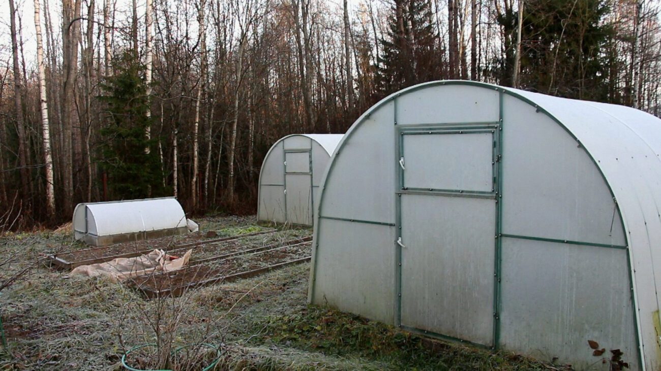 Городники розповіли, що варто зробити в листопаді, щоб город став родючішим