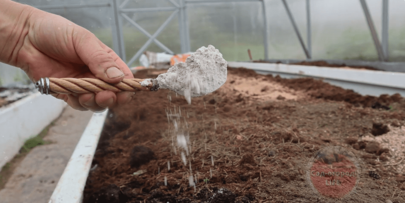 Фермери назвали ТОП-4 застосувань доломітового борошна в саду та городі