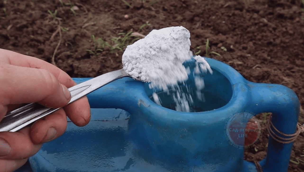 Городники розповіли, які добрива не можна вносити восени